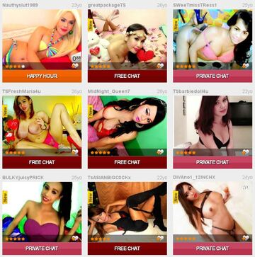 Transsexual beauty queens shemale on shemale